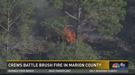 Show All Answers. . Marion county florida burning regulations